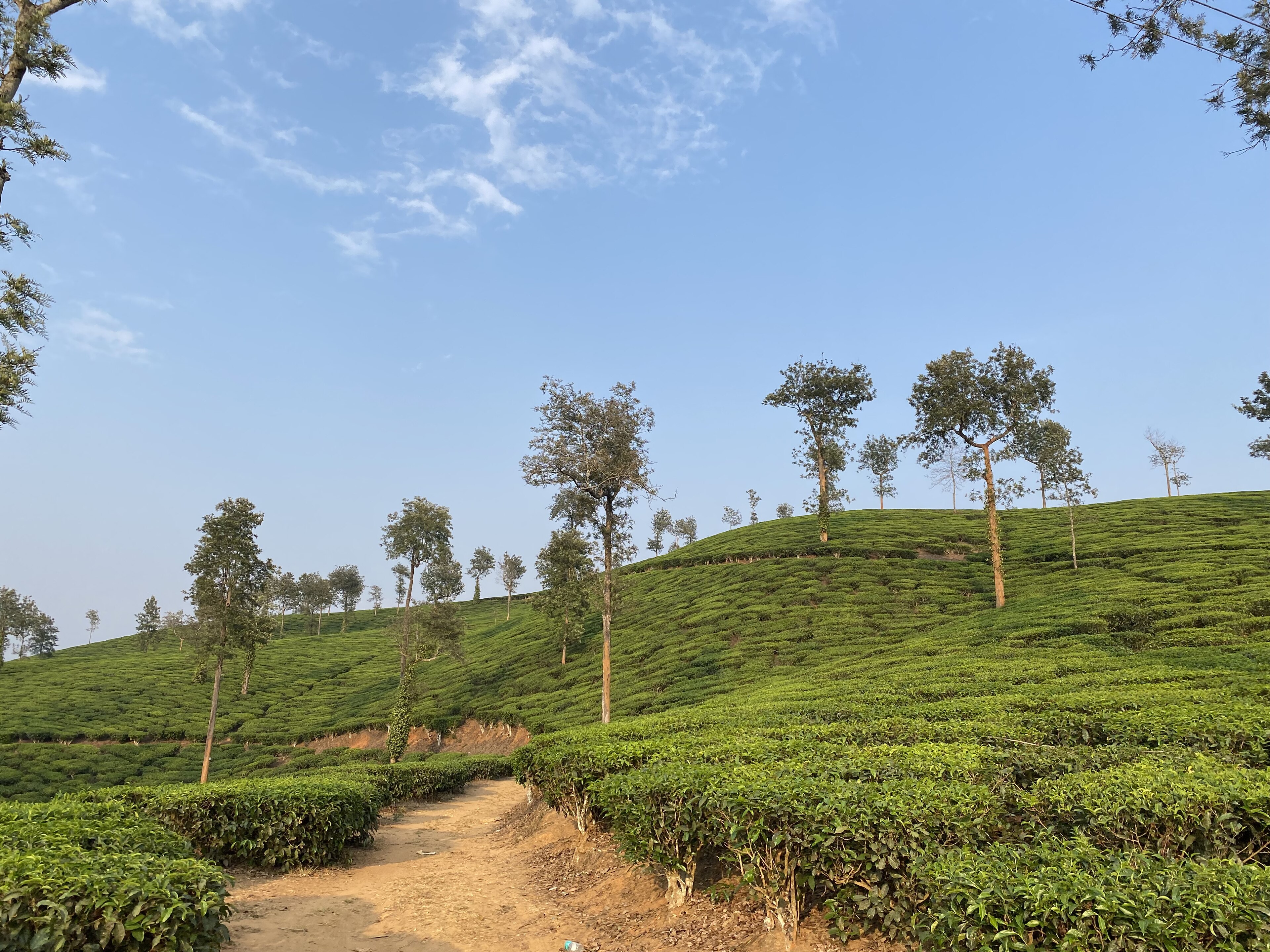 Nilgiri Mountain Railway toy train