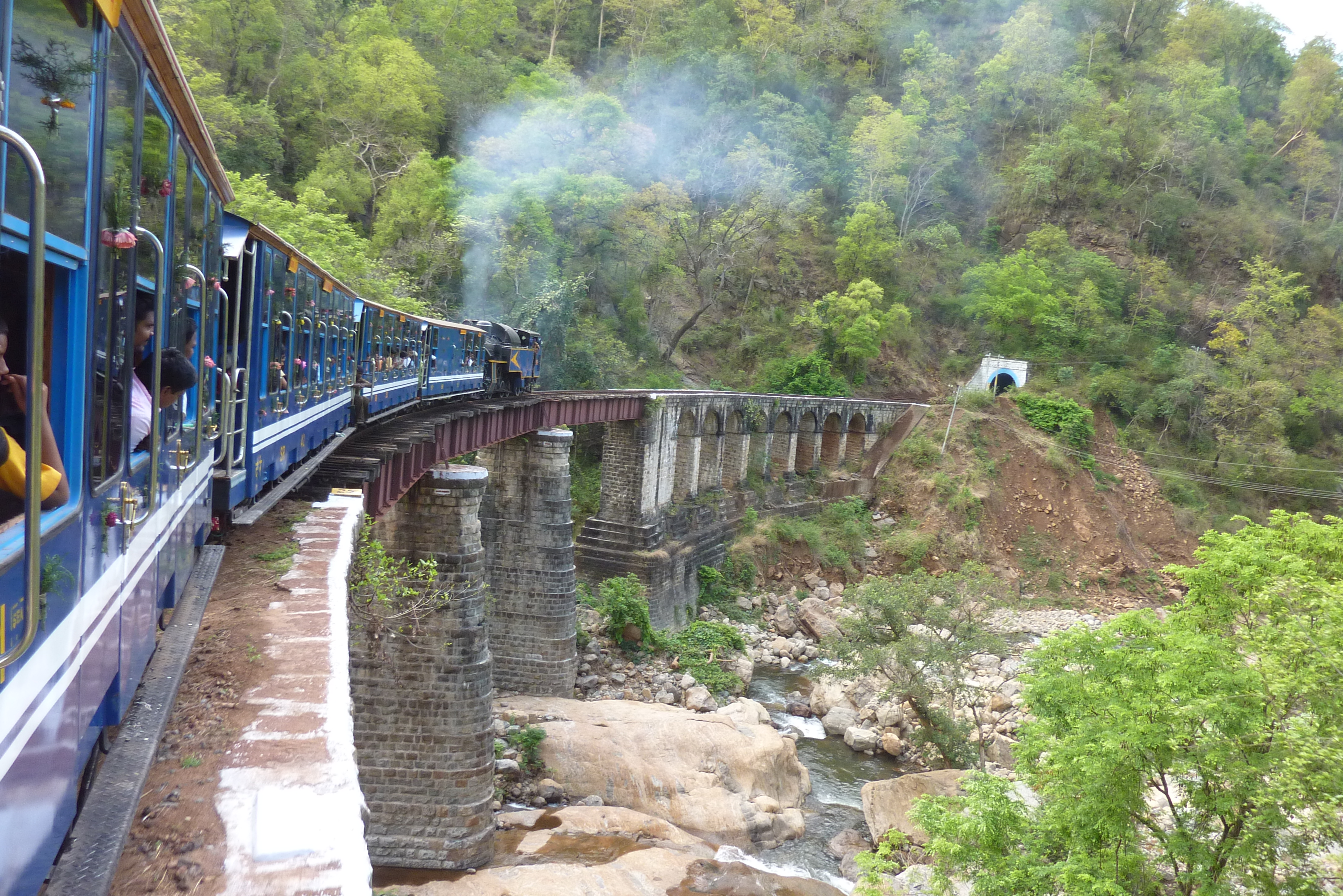 Coonoor Sims Park