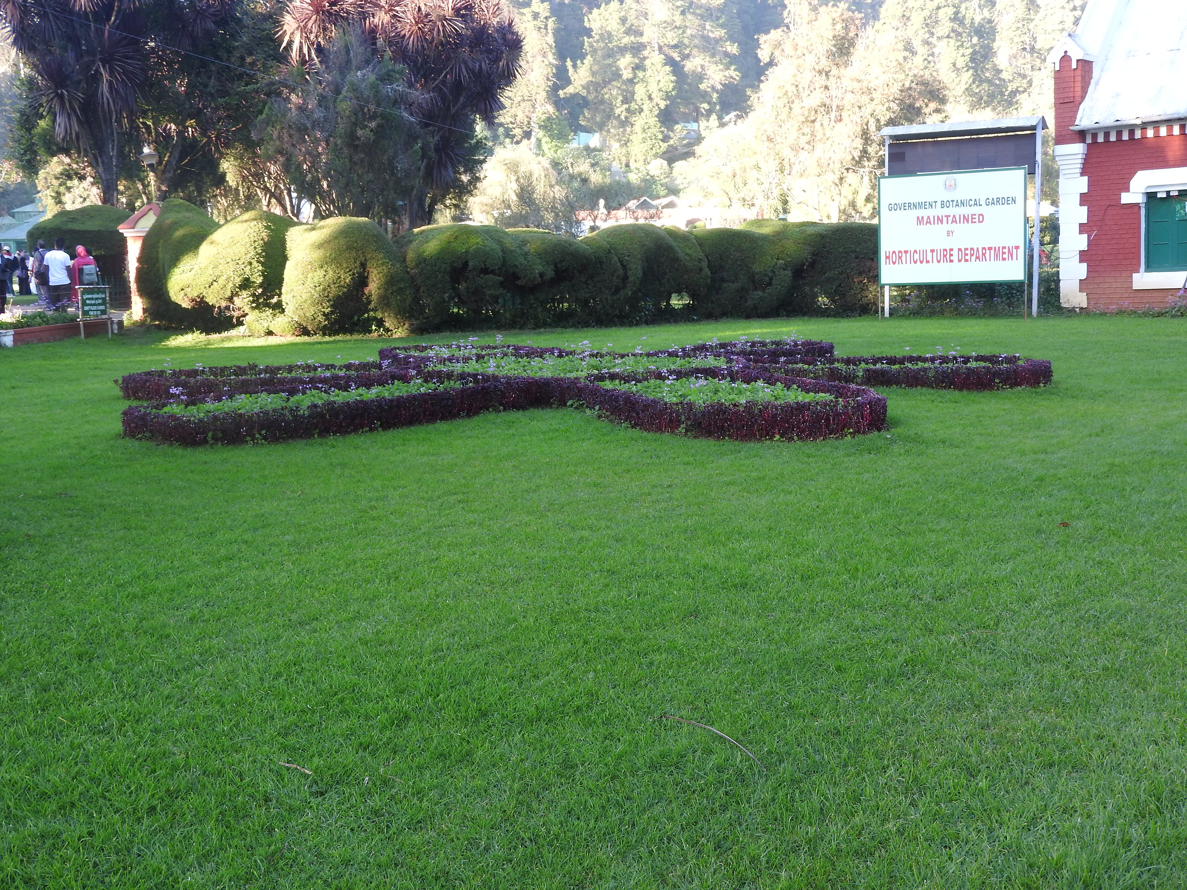 Tea Factory in the Nilgiris