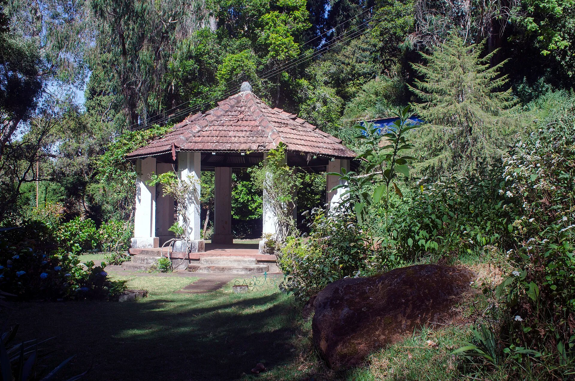 Sunrise & Sunset Safari — Ooty, the Nilgiris